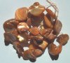 16 inch strand of 13-16mm Diagonal Copper Shells